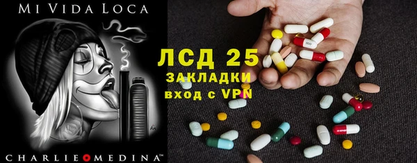 шишки Нея