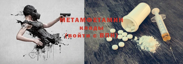 шишки Нея