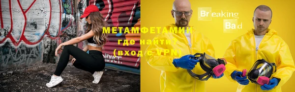 шишки Нея